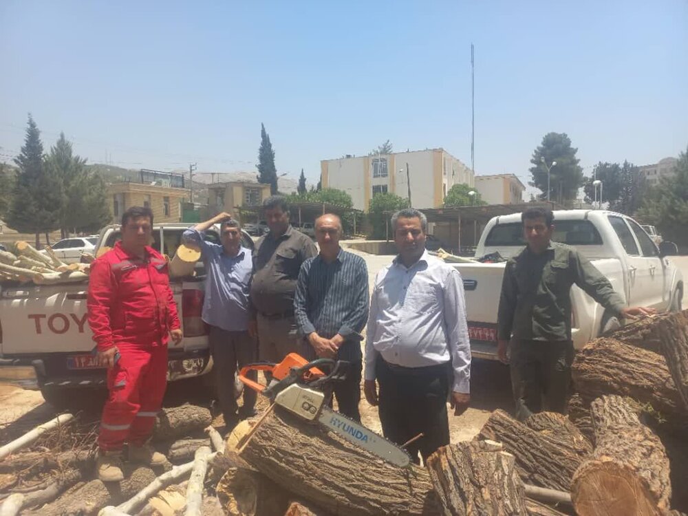 بازداشت ۱۰۱ متخلف در زمینه قطع درخت و قاچاق چوب در کهگیلویه و بویراحمد